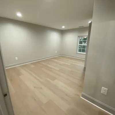 Our gallery